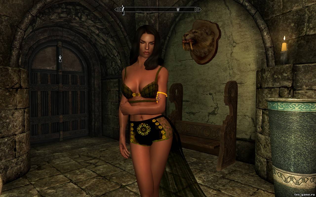 Игры 18 одежда. The Elder Scrolls IV Oblivion мод беременность. The Elder Scrolls IV Oblivion девушки. Обливион Редгарды. The Elder Scrolls 4 Oblivion моды 18.