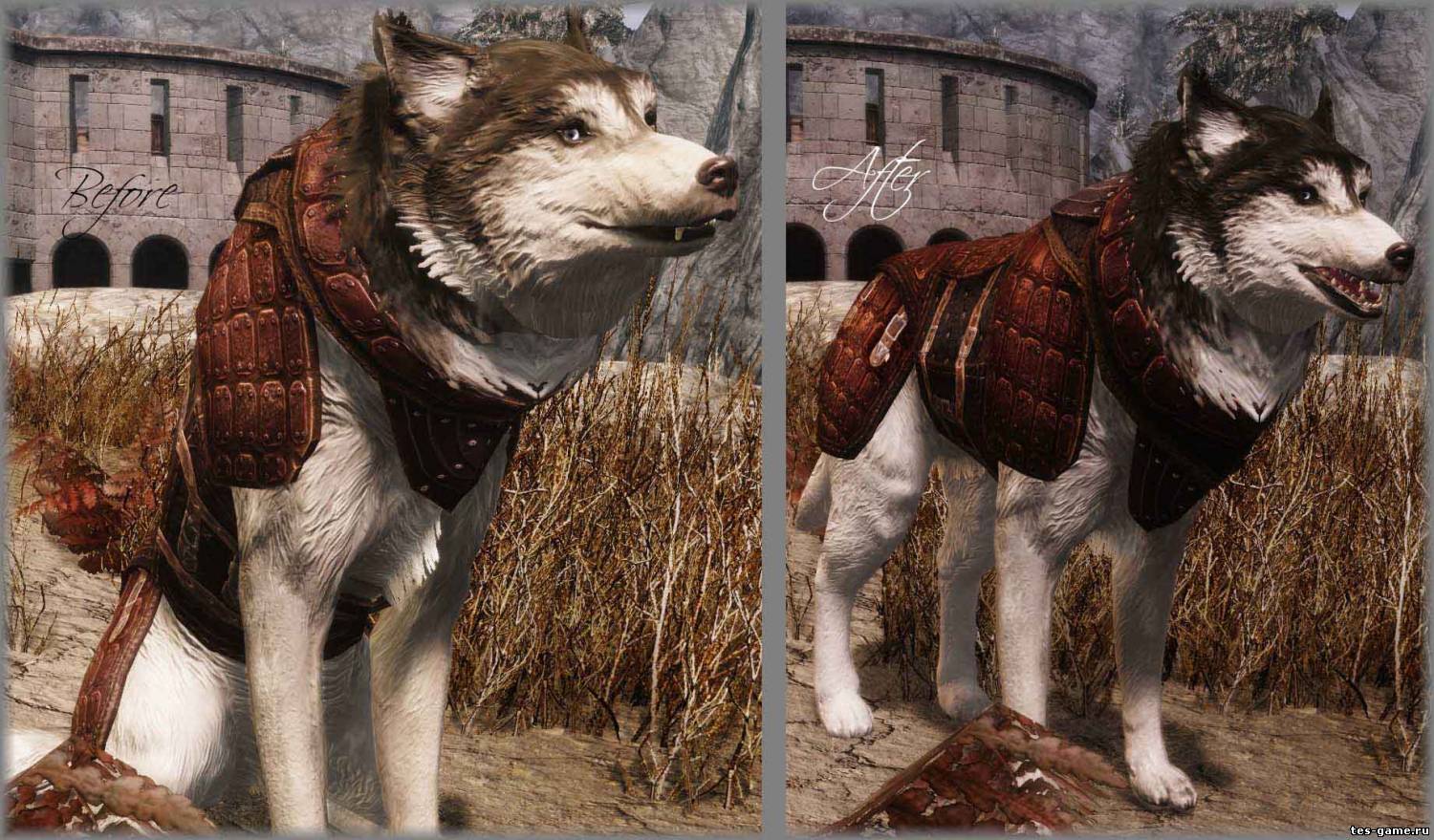 Fallout 4 надеть на собаку фото 84