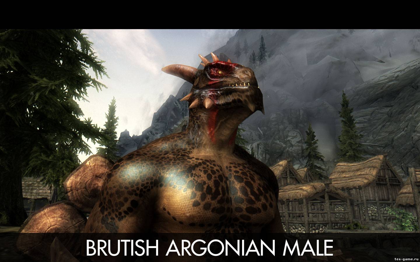 Argonian build skyrim