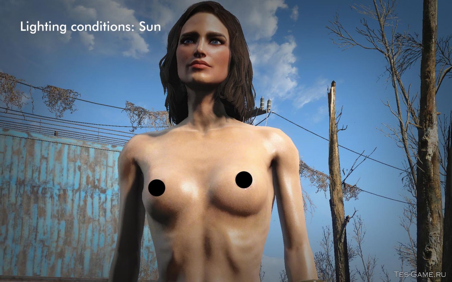 Fallout 4 текстуры женского лица фото 24