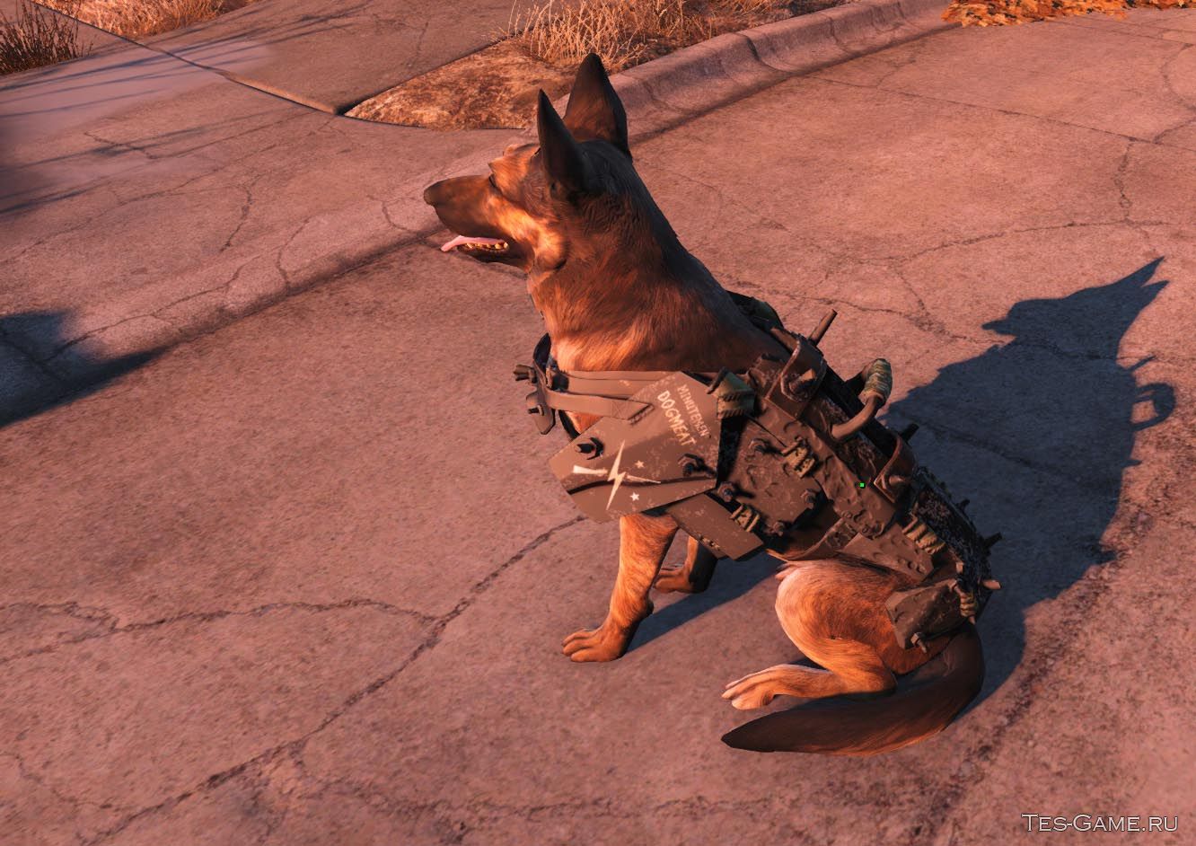 Fallout 4 как оставить пса фото 14