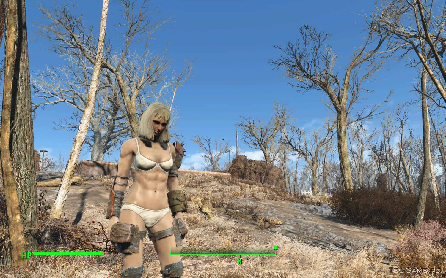 Fallout 4 женские тела 8к фото 110