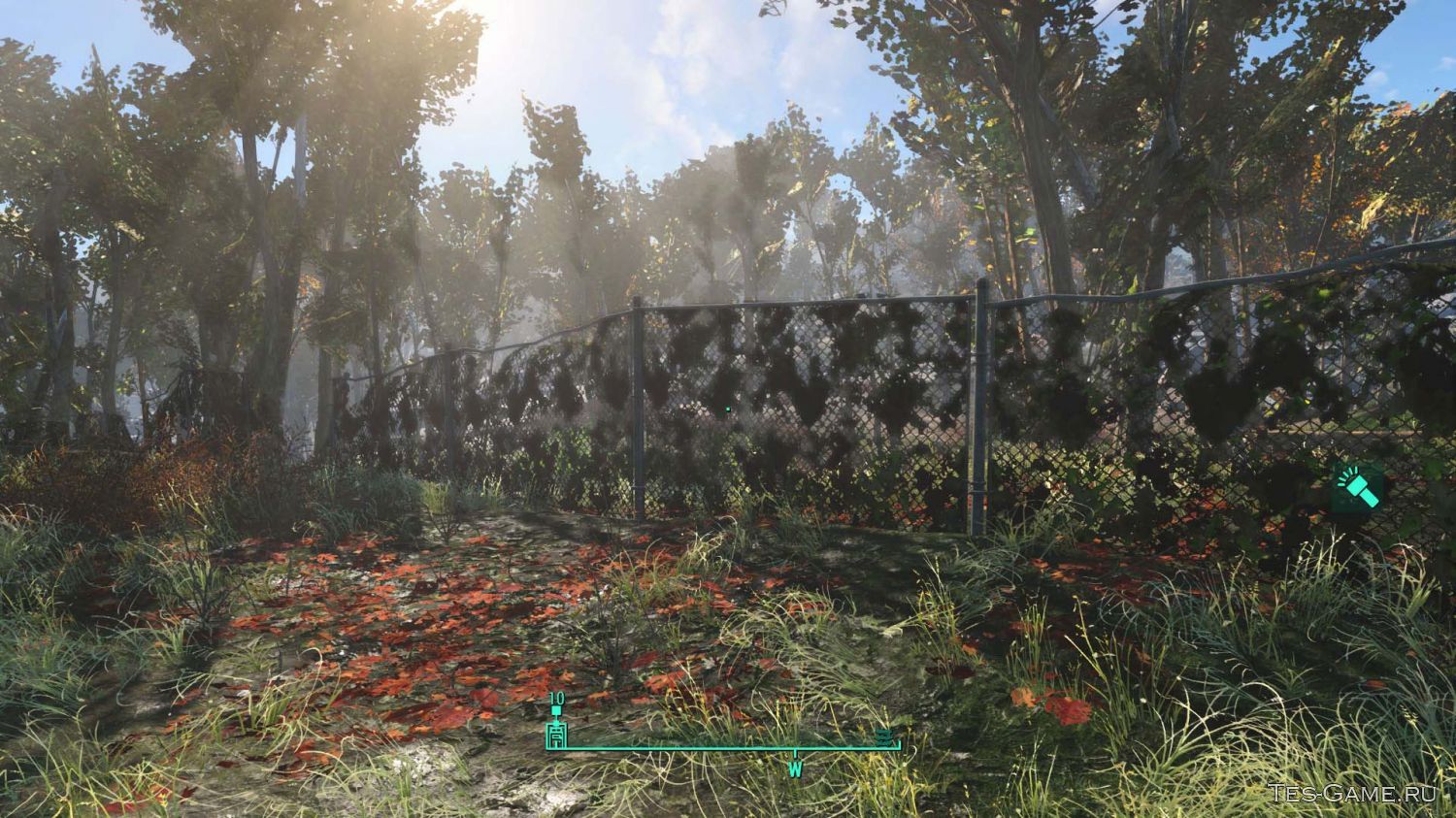 Fallout 4 деревья и трава фото 17