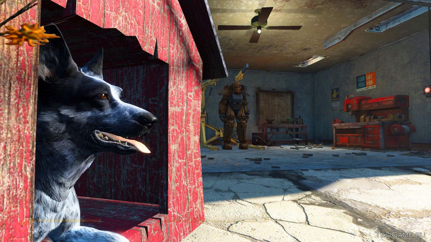 Fallout 4 все для собаки фото 116