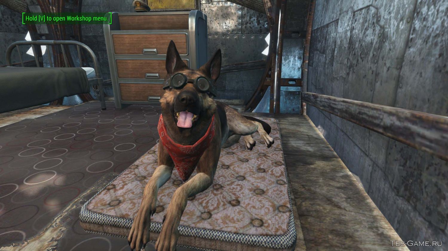 Fallout 4 good boy dogmeat фото 98