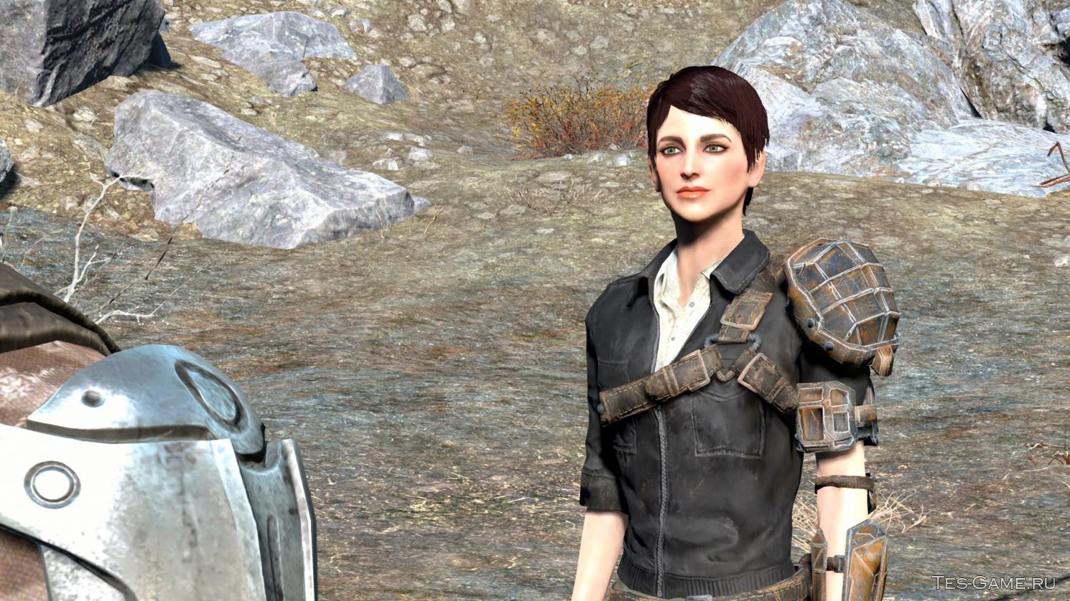 Fallout 4 изменить внешность напарнику фото 116