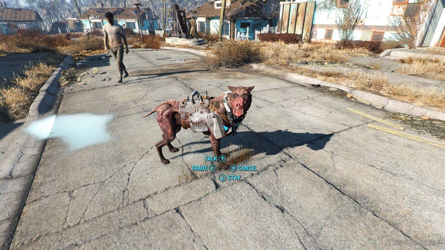 Fallout 4 как позвать псину фото 47