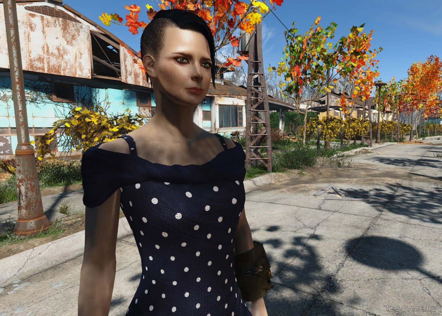 Fallout 4 черное платье фото 29