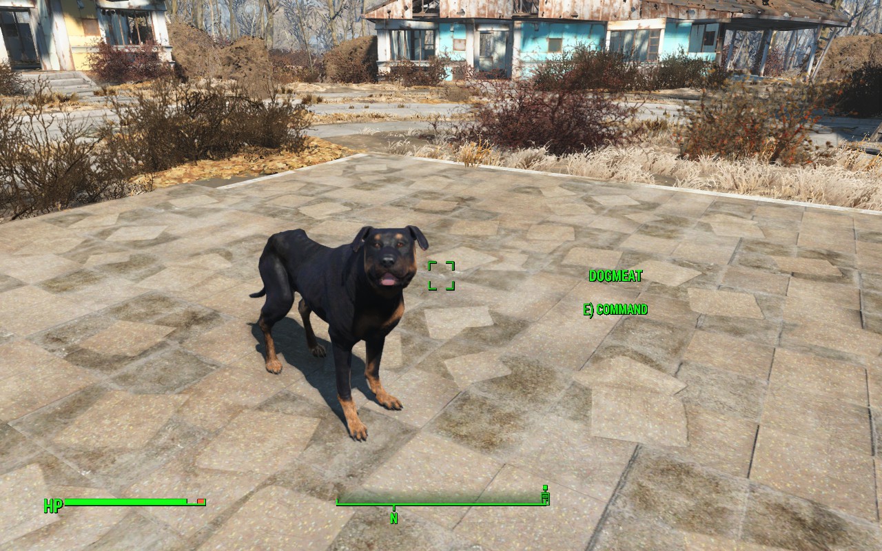 Fallout 4 потерялся пес (119) фото