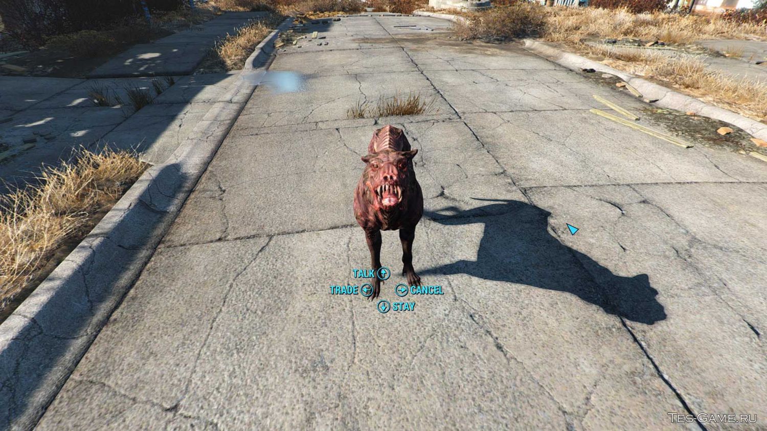 Fallout 4 отпустил собаку где она фото 13
