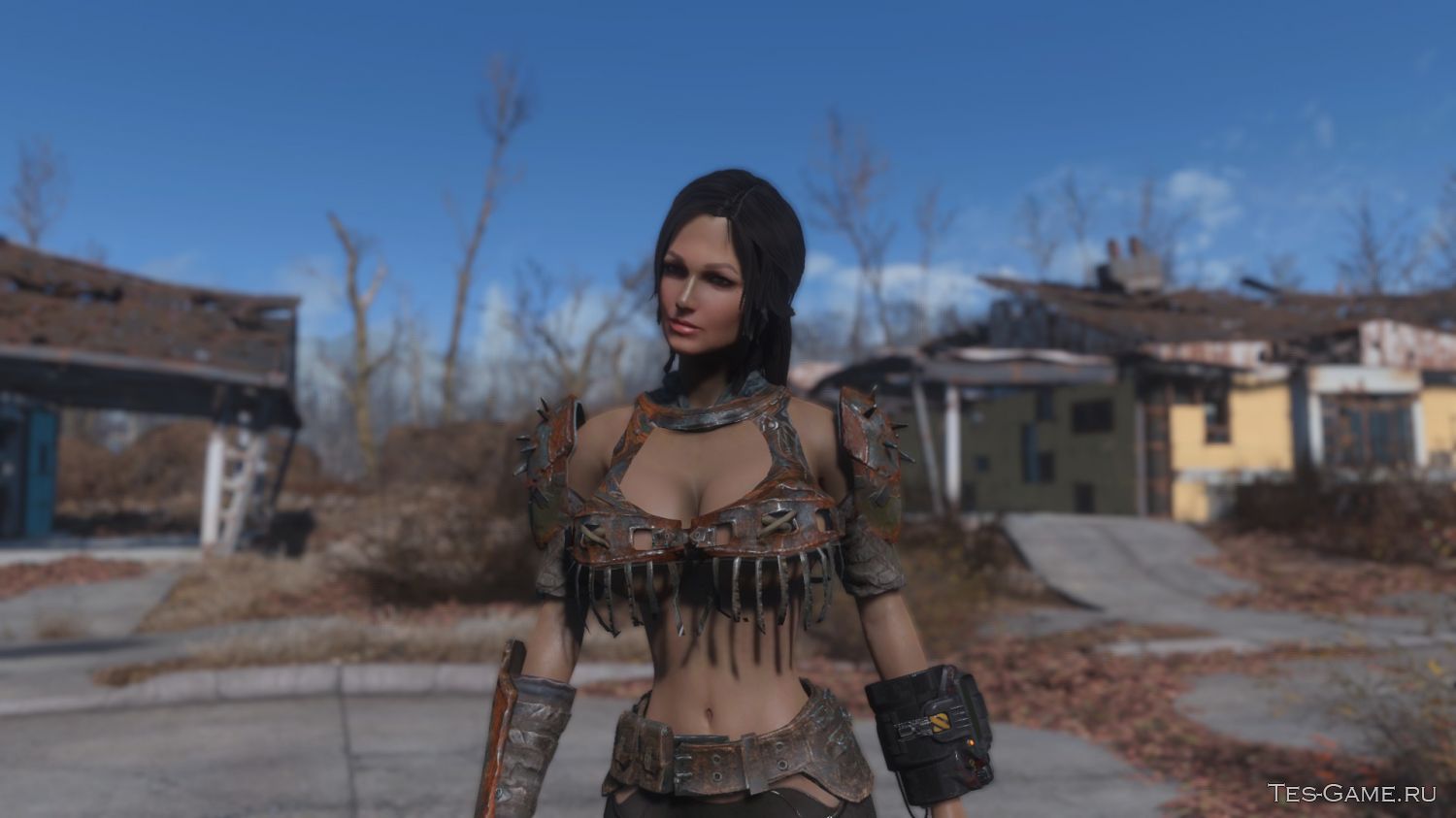 Skyrim and fallout 4 фото 107