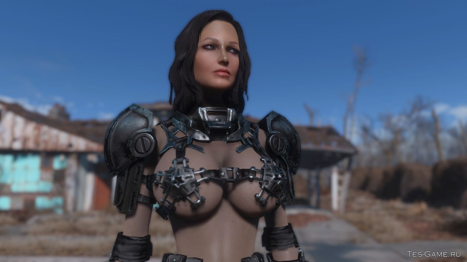 Fallout 4 advsettleturretset real фото 118