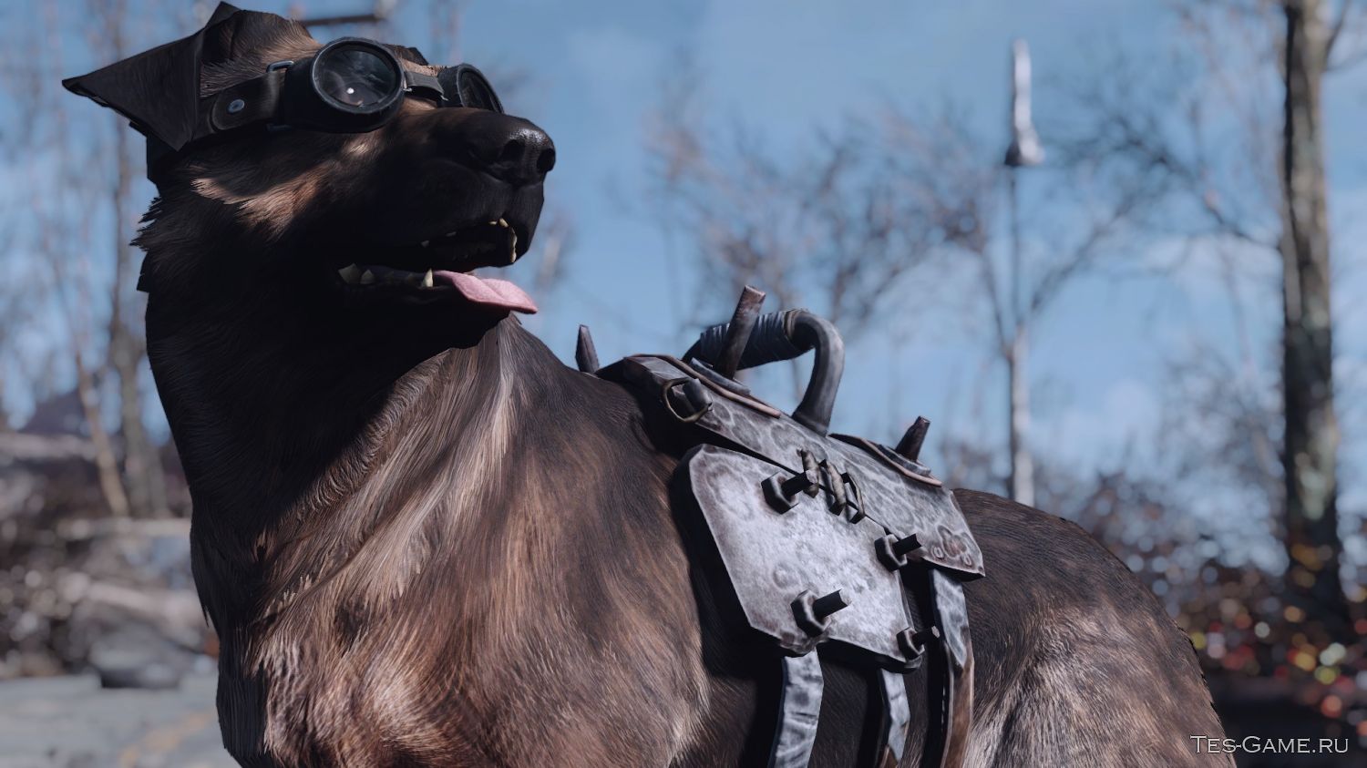 Fallout 4 как оставить пса фото 57
