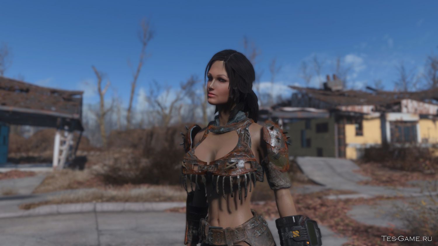 Fallout 4 replacer фото 18