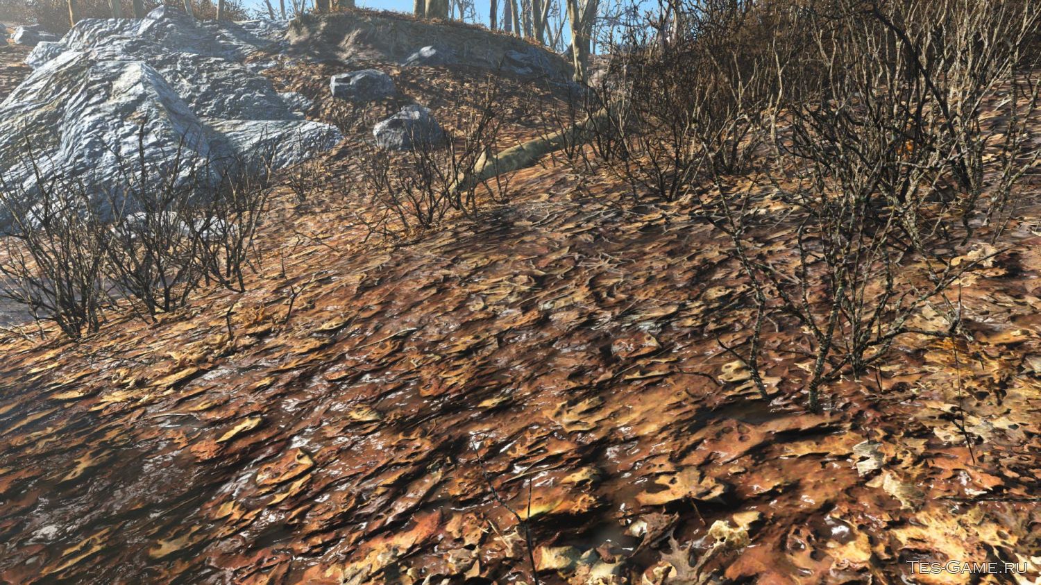 Fallout 4 идеальные текстуры ландшафта фото 69