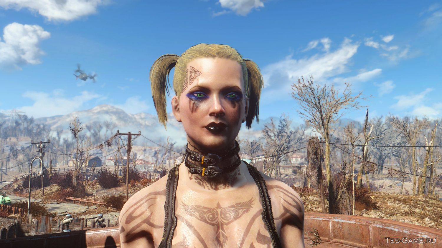 Fallout 4 raider pet v1 4 фото 46