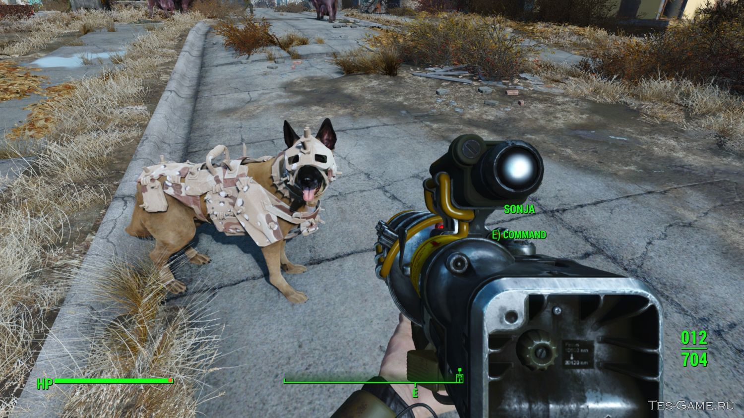 как найти своего пса в fallout 4 фото 98
