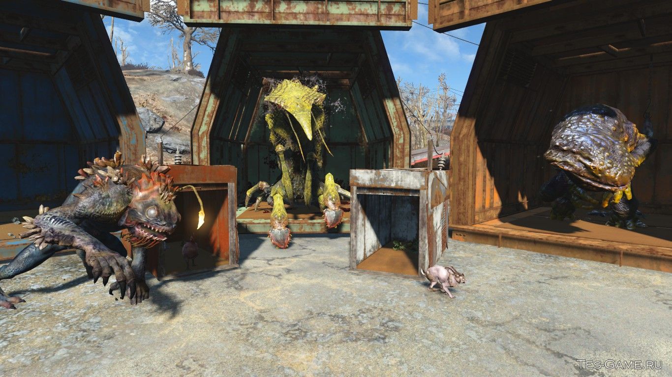 Fallout 4 far harbor джул фото 92