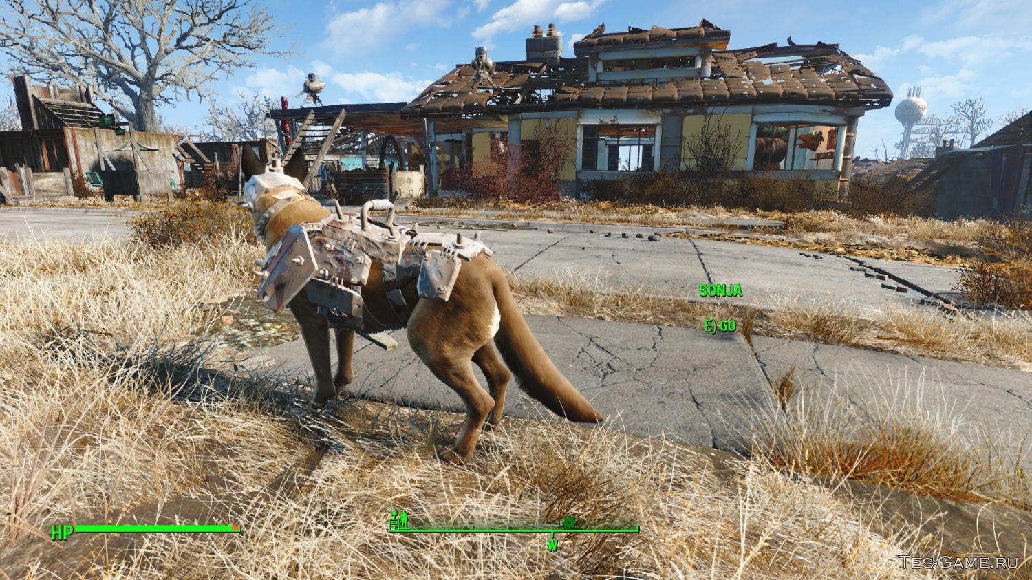 Fallout 4 собака нашла фото 92