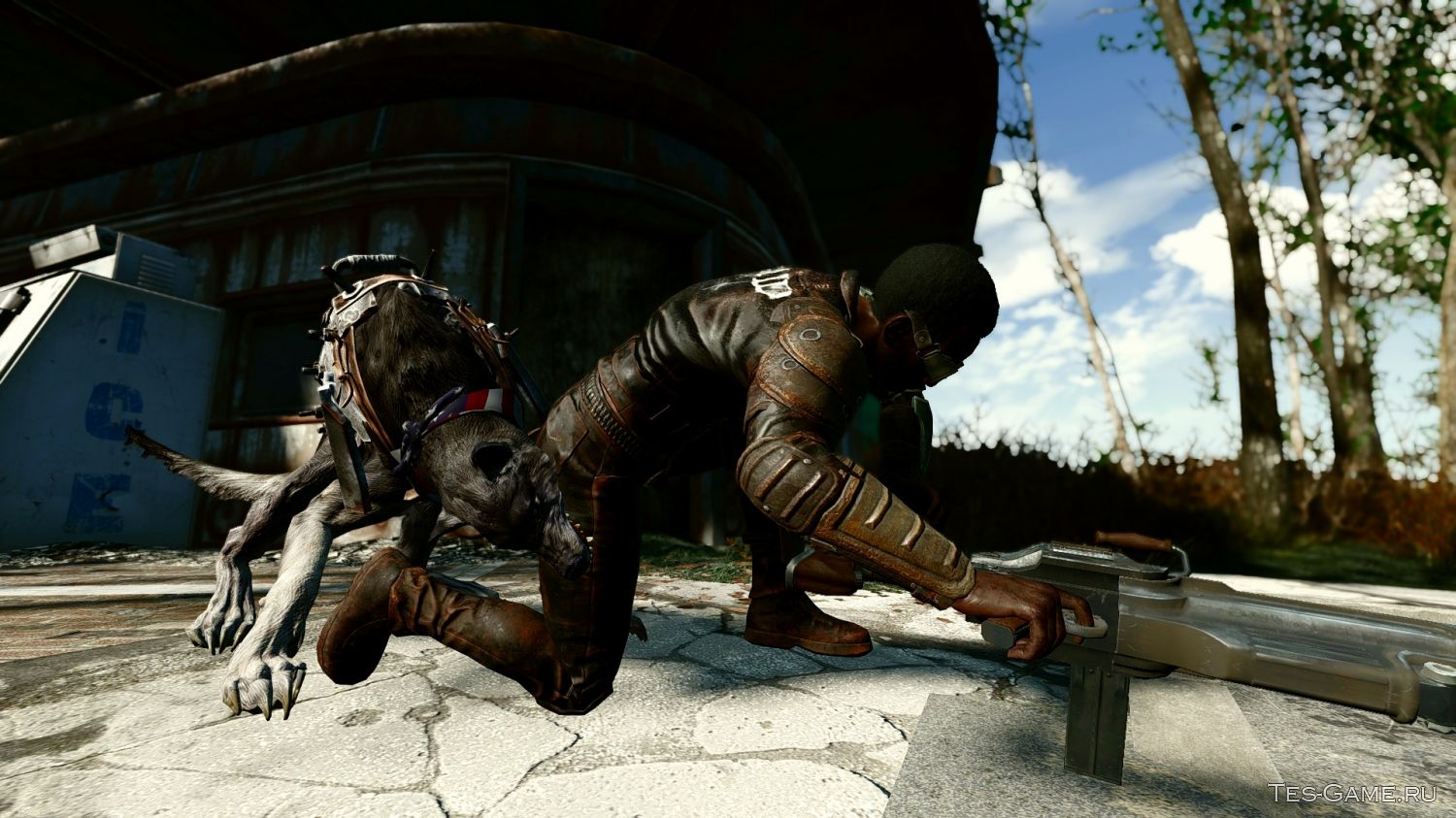 Fallout 4 волк компаньон фото 1