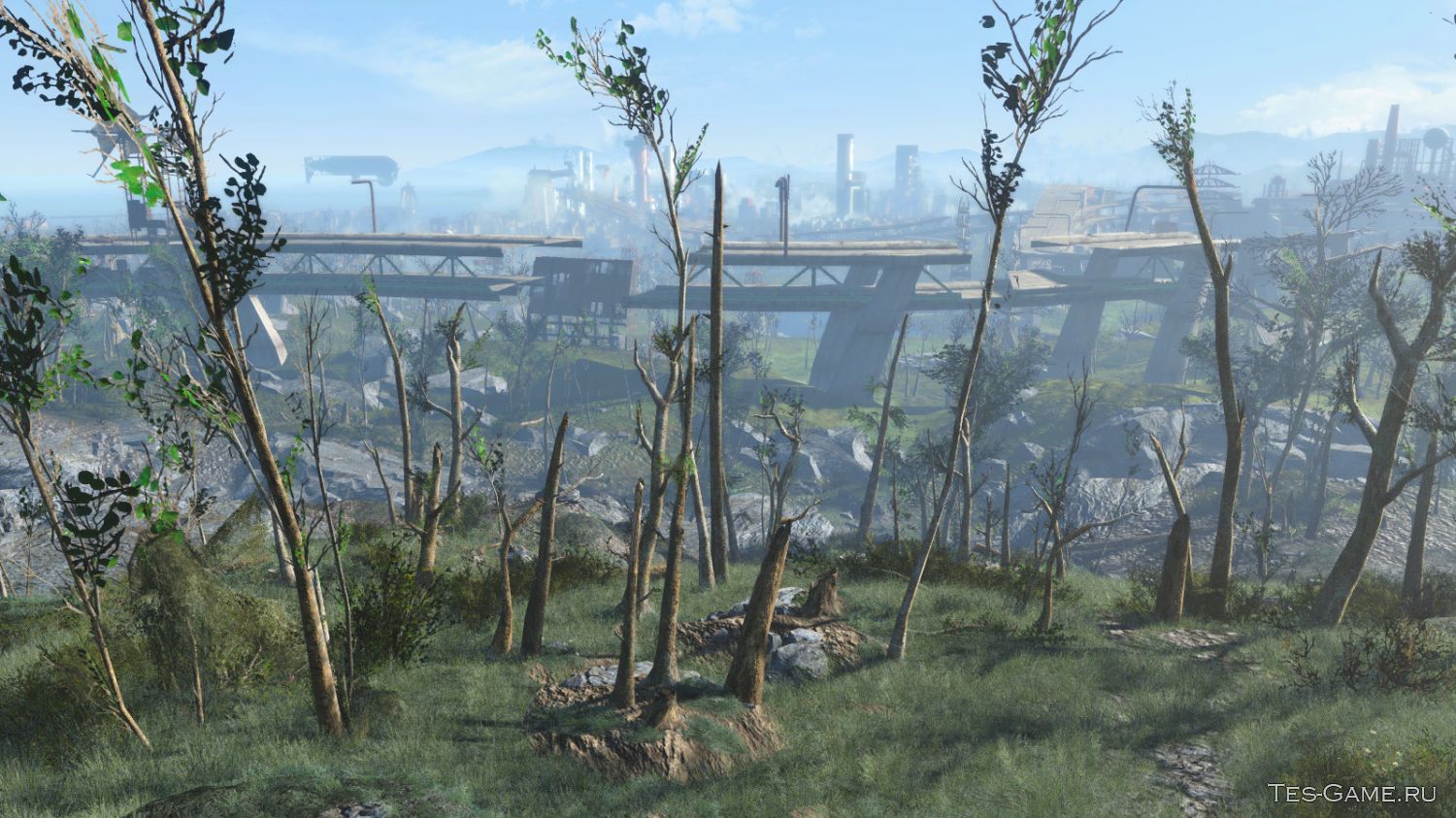 Fallout 4 seasons grass trees plants snow фото 12