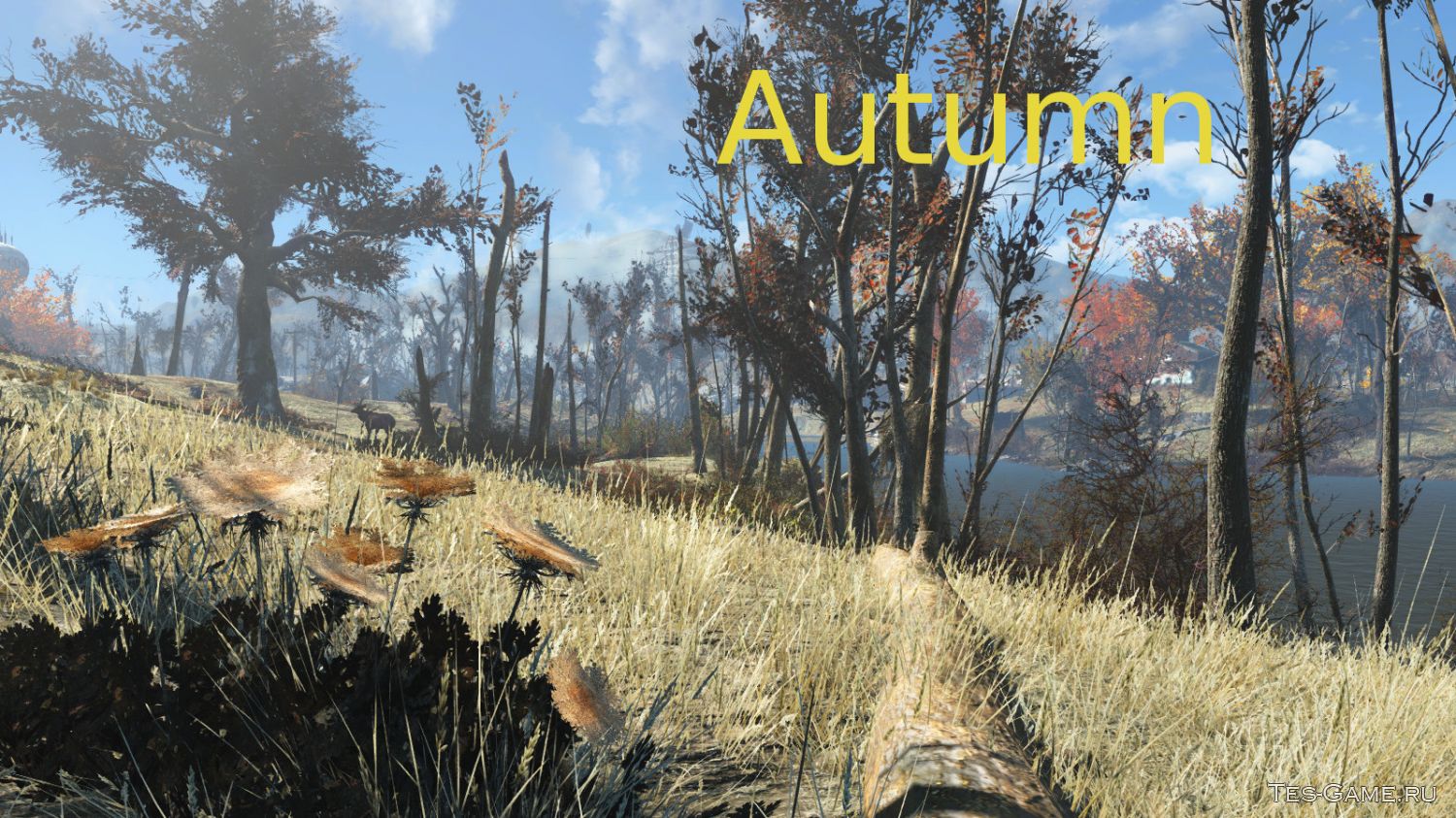 Fallout 4 деревья и трава фото 16