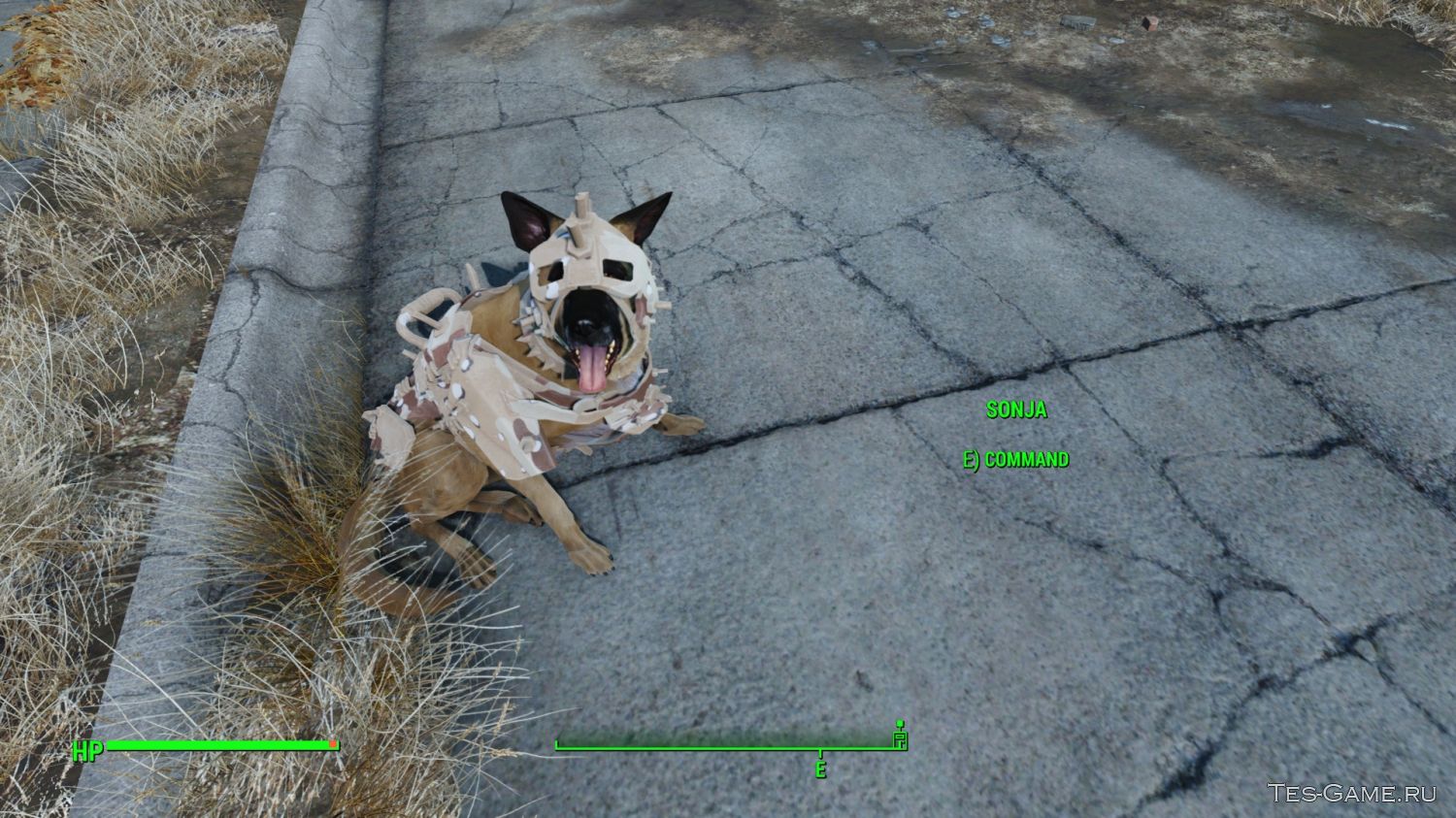 Fallout 4 пес что то нашел фото 66