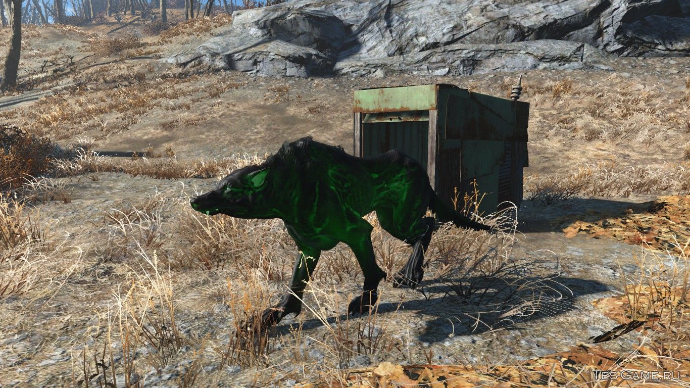 Fallout 4 последняя версия с модами фото 95