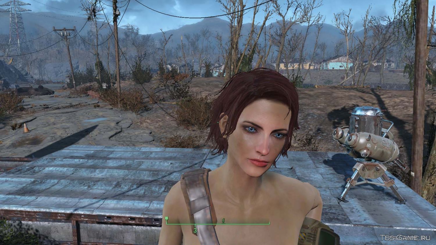 Fallout 4 manager фото 95