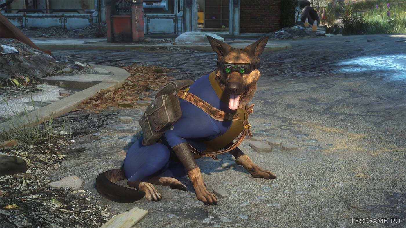 Fallout 4 боевой пес фото 36