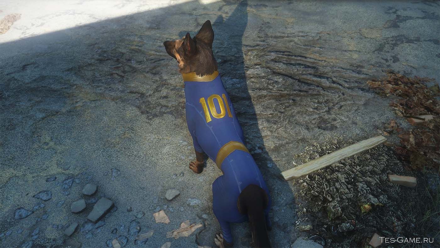 Fallout 4 как вколоть стимулятор собаке фото 8