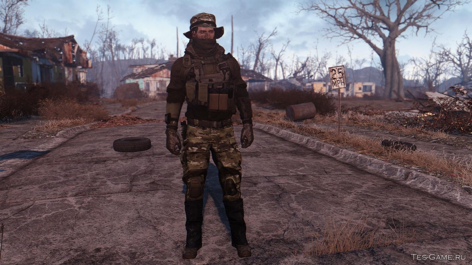 Fallout 4 последняя версия с модами фото 118