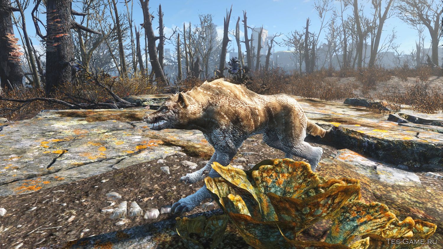 Fallout 4 far harbor остров охотницы фото 113