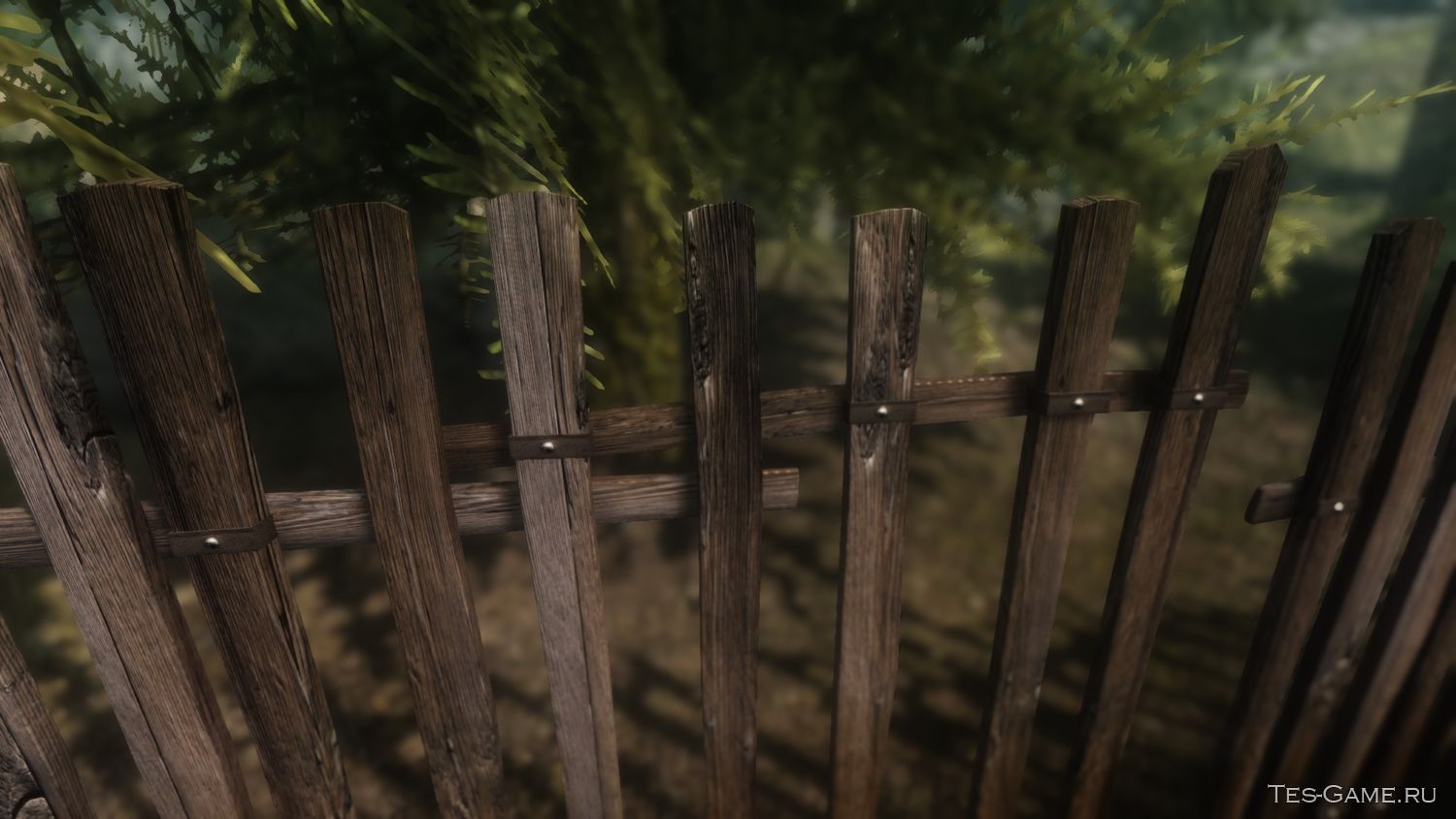 деревянный забор раст фото 9