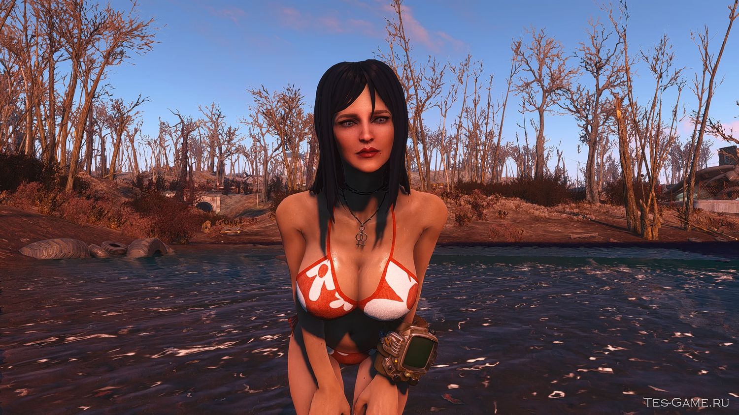 Fallout 4 looks menu presets фото 100