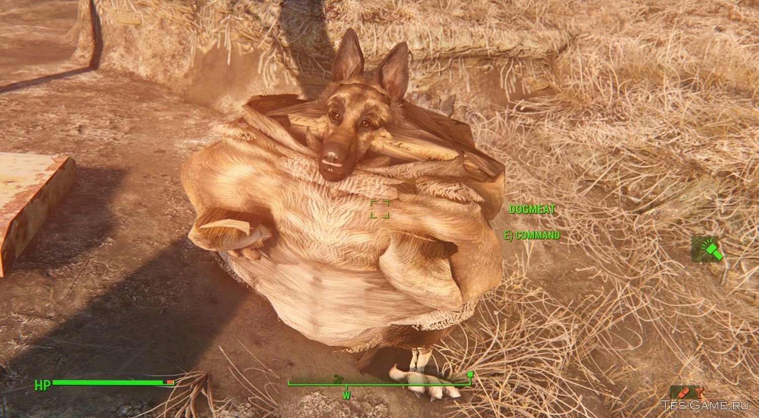 Fallout 4 собаку фото 11