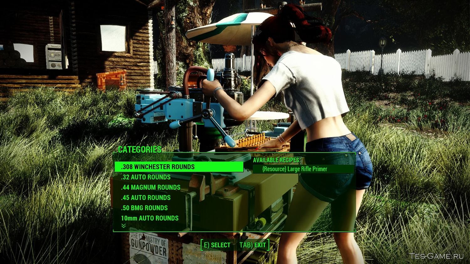 Fallout 4 distant blur remover фото 93