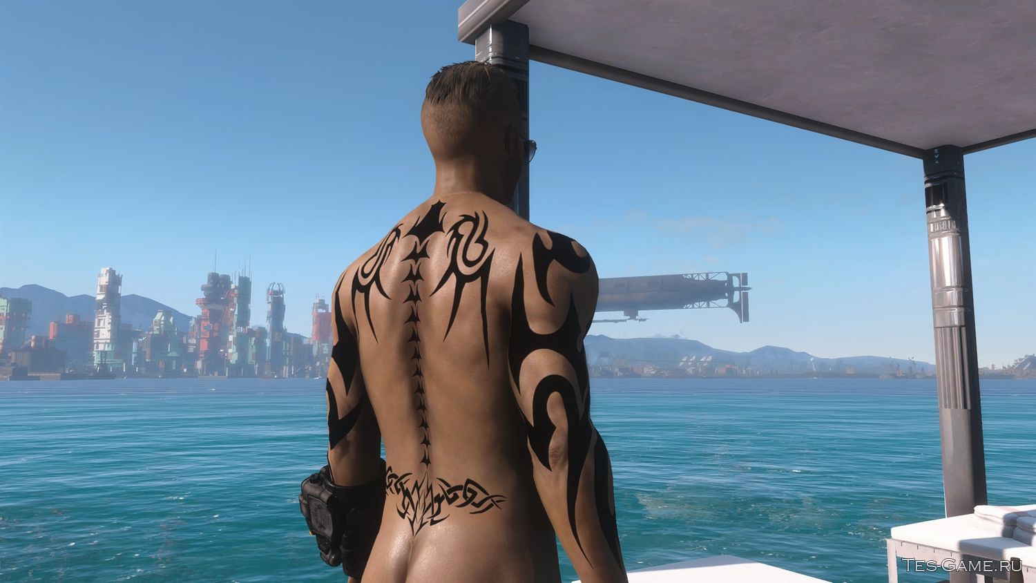 Fallout 4 все татуировки фото 30