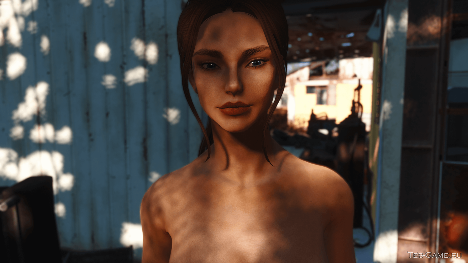 Новый HD ретекстур тел и лица в Fallout 4 для женских тел... 145.29 MB. 