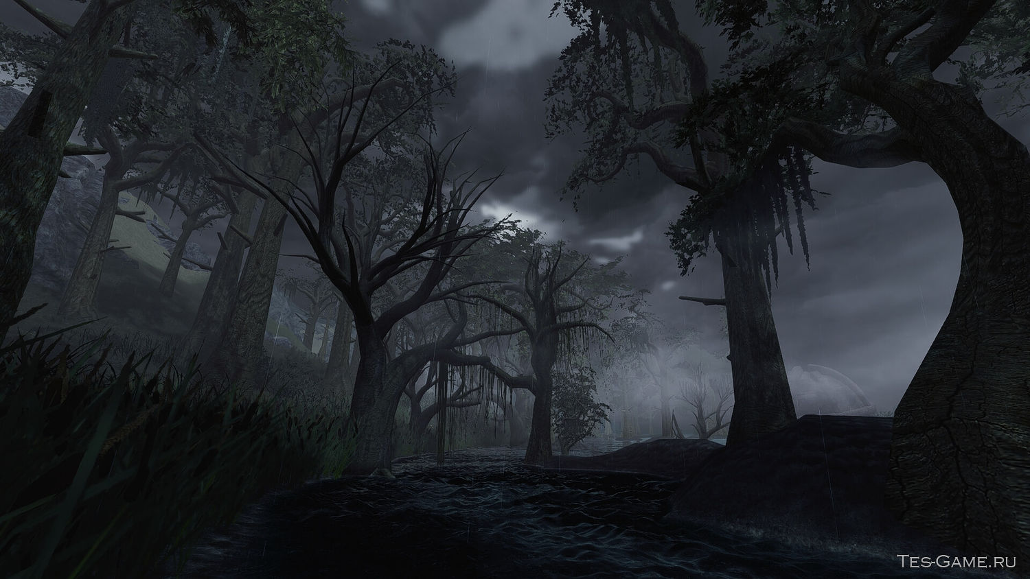 Morrowind overhaul steam фото 62