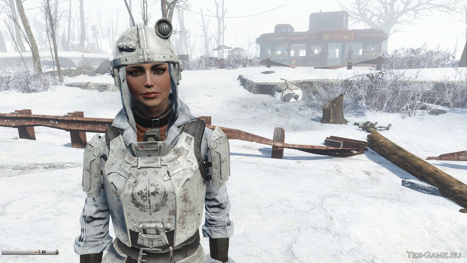 Fallout 4 nuclear winter фото 91
