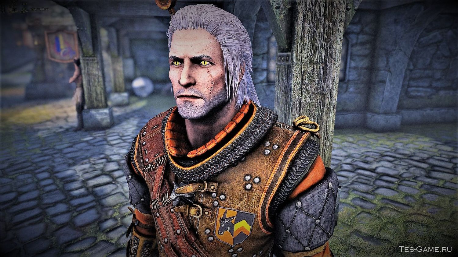 The witcher 3 or skyrim фото 13