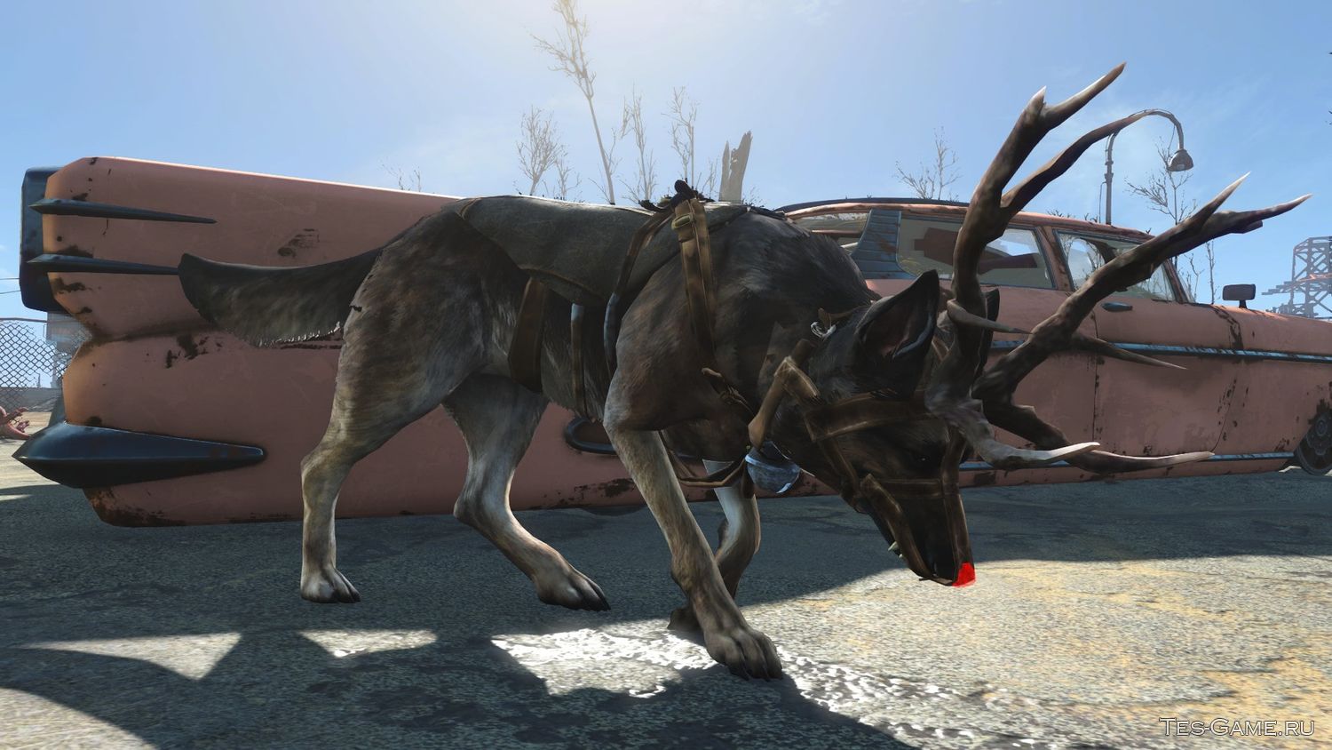 Fallout 4 вернуть собаку фото 85