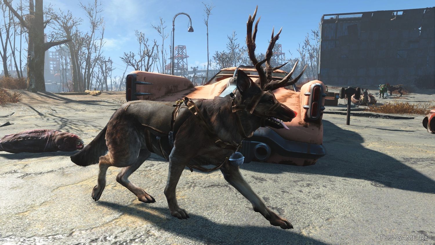 Fallout 4 собака нашла фото 97