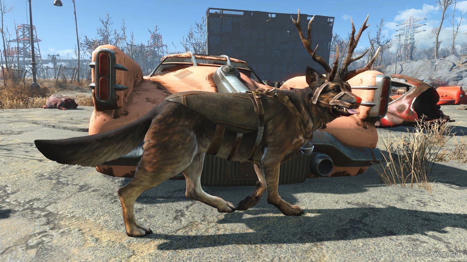 Fallout 4 псина и спутник одновременно фото 72
