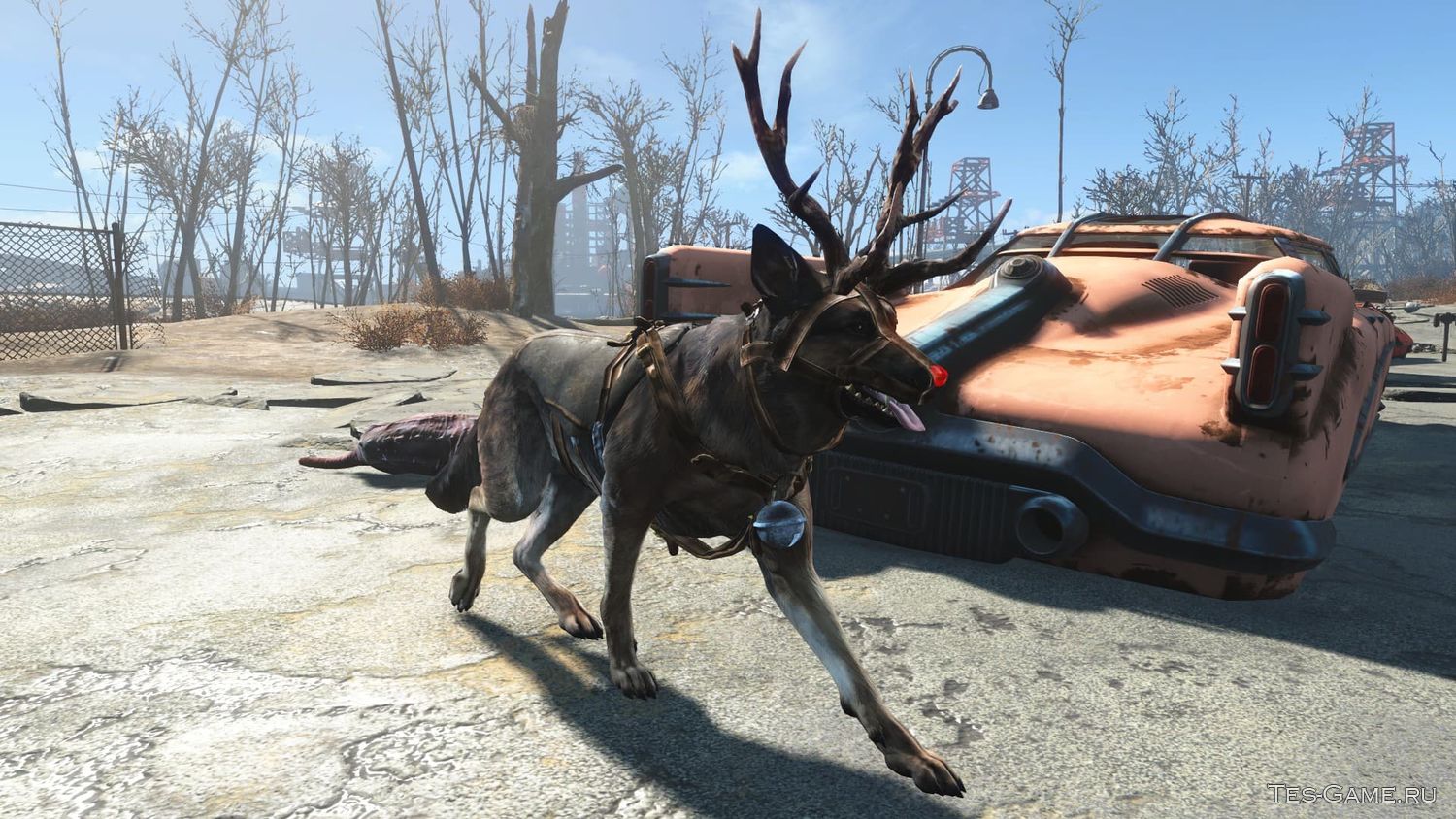 Fallout 4 псина баг фото 107