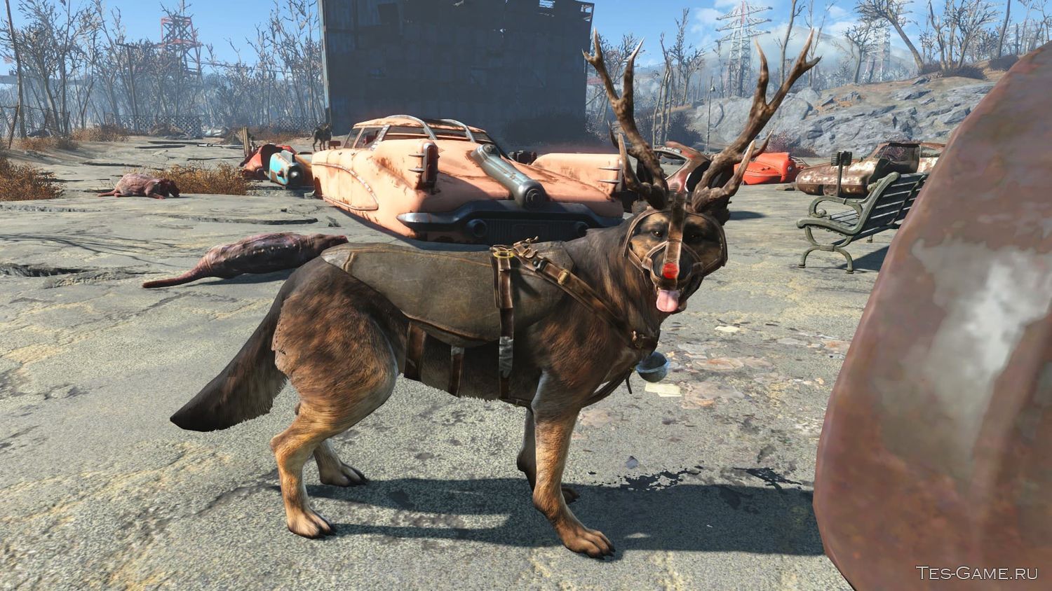 Fallout 4 что одеть на собаку фото 40