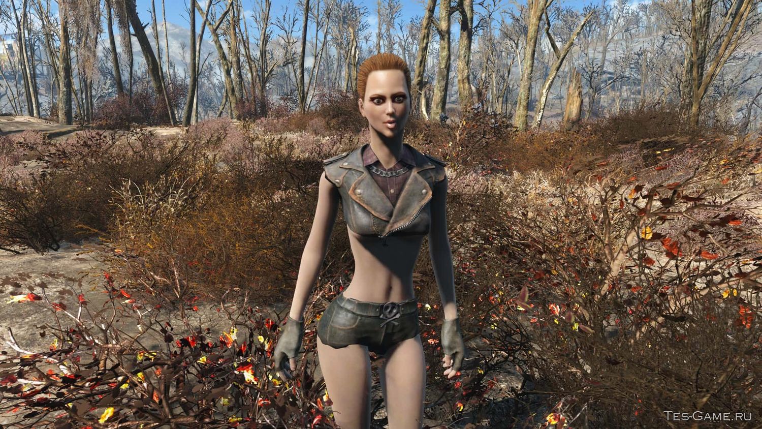 Fallout 4 зачистка кантри кроссинг фото 116