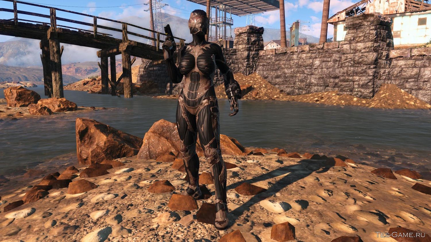 Fallout 4 последняя версия с модами фото 69