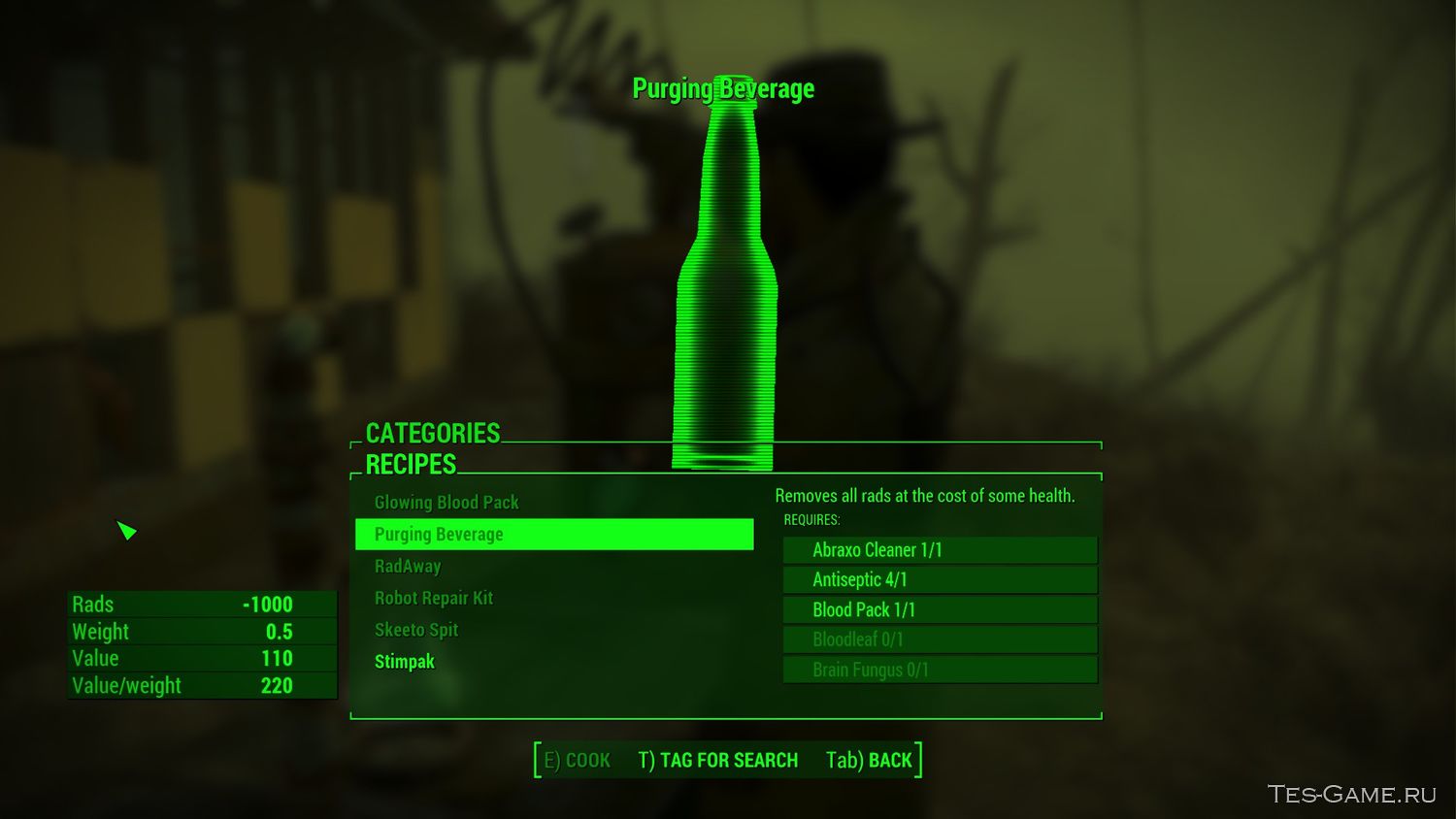    Fallout 4 -  